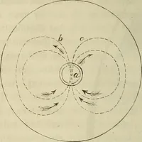 Picture 35 of 209 from Mikroskopische Bilder : Naturansichten aus dem kleinsten Raume ; ein Gemälde des Mikrokosmus in seinen Gestalten und Gesetzen (1853), leaf 179