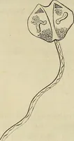 Picture 93 of 209 from Mikroskopische Bilder : Naturansichten aus dem kleinsten Raume ; ein Gemälde des Mikrokosmus in seinen Gestalten und Gesetzen (1853), leaf 297