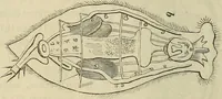 An illustration from Mikroskopische Bilder : Naturansichten aus dem kleinsten Raume ; ein Gemälde des Mikrokosmus in seinen Gestalten und Gesetzen (1853)