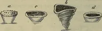 Picture 185 of 209 from Mikroskopische Bilder : Naturansichten aus dem kleinsten Raume ; ein Gemälde des Mikrokosmus in seinen Gestalten und Gesetzen (1853), leaf 425
