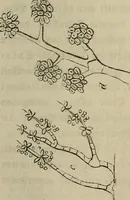 Picture 199 of 209 from Mikroskopische Bilder : Naturansichten aus dem kleinsten Raume ; ein Gemälde des Mikrokosmus in seinen Gestalten und Gesetzen (1853), leaf 436