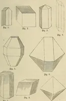 Picture 1 of 209 from Mikroskopische Bilder : Naturansichten aus dem kleinsten Raume ; ein Gemälde des Mikrokosmus in seinen Gestalten und Gesetzen (1853), leaf 72