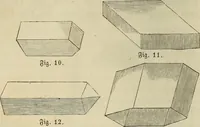 An illustration from Mikroskopische Bilder : Naturansichten aus dem kleinsten Raume ; ein Gemälde des Mikrokosmus in seinen Gestalten und Gesetzen (1853)