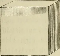 Picture 4 of 209 from Mikroskopische Bilder : Naturansichten aus dem kleinsten Raume ; ein Gemälde des Mikrokosmus in seinen Gestalten und Gesetzen (1853), leaf 76
