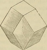 Picture 6 of 209 from Mikroskopische Bilder : Naturansichten aus dem kleinsten Raume ; ein Gemälde des Mikrokosmus in seinen Gestalten und Gesetzen (1853), leaf 77