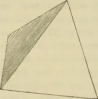 An illustration from Mikroskopische Bilder : Naturansichten aus dem kleinsten Raume ; ein Gemälde des Mikrokosmus in seinen Gestalten und Gesetzen (1853)