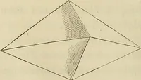Picture 8 of 209 from Mikroskopische Bilder : Naturansichten aus dem kleinsten Raume ; ein Gemälde des Mikrokosmus in seinen Gestalten und Gesetzen (1853), leaf 77