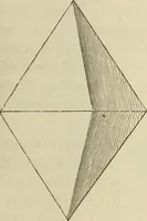 An illustration from Mikroskopische Bilder : Naturansichten aus dem kleinsten Raume ; ein Gemälde des Mikrokosmus in seinen Gestalten und Gesetzen (1853)