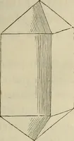 An illustration from Mikroskopische Bilder : Naturansichten aus dem kleinsten Raume ; ein Gemälde des Mikrokosmus in seinen Gestalten und Gesetzen (1853)