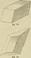 Picture 11 of 209 from Mikroskopische Bilder : Naturansichten aus dem kleinsten Raume ; ein Gemälde des Mikrokosmus in seinen Gestalten und Gesetzen (1853), leaf 79