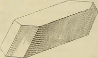 An illustration from Mikroskopische Bilder : Naturansichten aus dem kleinsten Raume ; ein Gemälde des Mikrokosmus in seinen Gestalten und Gesetzen (1853)
