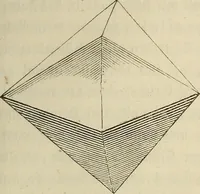 Picture 13 of 209 from Mikroskopische Bilder : Naturansichten aus dem kleinsten Raume ; ein Gemälde des Mikrokosmus in seinen Gestalten und Gesetzen (1853), leaf 80