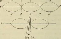 Picture 17 of 209 from Mikroskopische Bilder : Naturansichten aus dem kleinsten Raume ; ein Gemälde des Mikrokosmus in seinen Gestalten und Gesetzen (1853), leaf 89