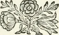 An illustration from Milano sempre grande : nel procurare la promozione de' suoi figli alla dignità di padre e di pastore, nell' ergere pomposo apparato a riceverli, nel mantenere vn filiale ossequio dopo riceuuti : circonstanze descritte nell' elezione, e nel solenne ingresso fatto in Milano dall' eminentissimo signor cardinale Federico Caccia suo arciuescouo, il giorno 11. di decembre 1696 (1697)