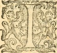 An illustration from Militarium ordinum origines, statuta, symbola, et insignia, iconibus, additis genuinis : hac editione multorum ordinum, & quoquot extitere, accessione locupletata, serie[que] temporum distributa (1623)