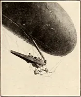 An illustration from Military aeroplanes, simplified, enlarged; an explanatory consideration of their characteristics, performances, construction, maintenance, and operation, specifically arranged for the use of aviators and students (1918)