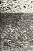An illustration from Military aeroplanes, simplified, enlarged; an explanatory consideration of their characteristics, performances, construction, maintenance, and operation, specifically arranged for the use of aviators and students (1918)