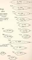 An illustration from Military aeroplanes, simplified, enlarged; an explanatory consideration of their characteristics, performances, construction, maintenance, and operation, specifically arranged for the use of aviators and students (1918)