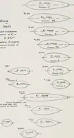 Picture 19 of 58 from Military aeroplanes; an explanatory consideration of their characteristics, performances, construction, maintenance, and operation, for the use of aviators (1918), leaf 57