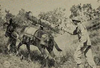 Picture 26 of 30 from Military review (1922), leaf 64