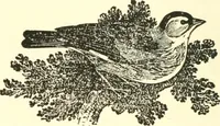 An illustration from The Millers of Haddington, Dunbar and Dunfermline; a record of Scottish bookselling (1914)