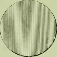An illustration from Millwork catalogue : makers of the original patent dowelled doors, sash, blinds, fine interior finish, store and office fixtures, bank counters, dealers in lumber, etc (1904)
