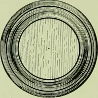 An illustration from Millwork catalogue : makers of the original patent dowelled doors, sash, blinds, fine interior finish, store and office fixtures, bank counters, dealers in lumber, etc (1904)
