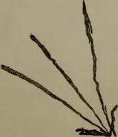 An illustration from Mind as a cause and cure of disease presented from a medical, scientific and religious point of view (1914)