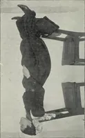 An illustration from Mind and body; hypnotism and suggestion applied in therapeutics and education (1899)