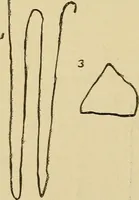 An illustration from Mind-reading and beyond (1885)