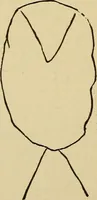 Picture 54 of 100 from Mind-reading and beyond (1885), leaf 125