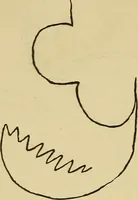An illustration from Mind-reading and beyond (1885)
