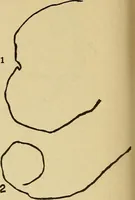 An illustration from Mind-reading and beyond (1885)