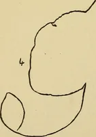 An illustration from Mind-reading and beyond (1885)