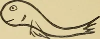 An illustration from Mind-reading and beyond (1885)