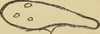 An illustration from Mind-reading and beyond (1885)