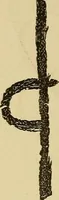 Picture 75 of 100 from Mind-reading and beyond (1885), leaf 145