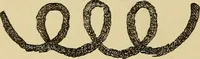 Picture 76 of 100 from Mind-reading and beyond (1885), leaf 145
