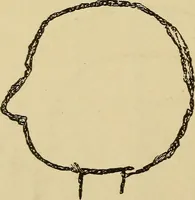 Picture 87 of 100 from Mind-reading and beyond (1885), leaf 149