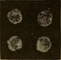 An illustration from Mind-reading and beyond (1885)