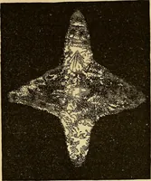 An illustration from Mind-reading and beyond (1885)