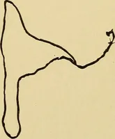 Picture 93 of 100 from Mind-reading and beyond (1885), leaf 162