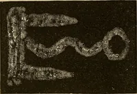 Picture 94 of 100 from Mind-reading and beyond (1885), leaf 163