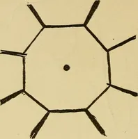 Picture 8 of 100 from Mind-reading and beyond (1885), leaf 95