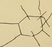 Picture 9 of 100 from Mind-reading and beyond (1885), leaf 95