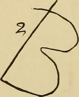 Picture 13 of 100 from Mind-reading and beyond (1885), leaf 97