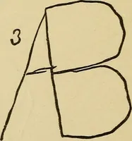 Picture 14 of 100 from Mind-reading and beyond (1885), leaf 97
