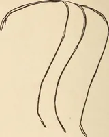 Picture 21 of 97 from Mind-reading and beyond (1885), leaf 109