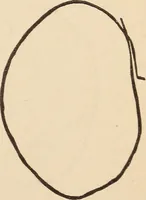 An illustration from Mind-reading and beyond (1885)