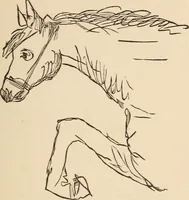 An illustration from Mind-reading and beyond (1885)